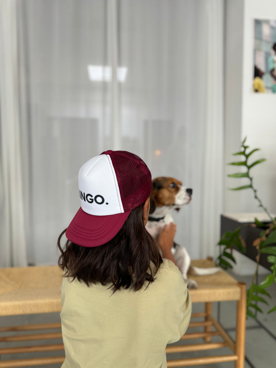 Mingo Limited cap - Burgundy