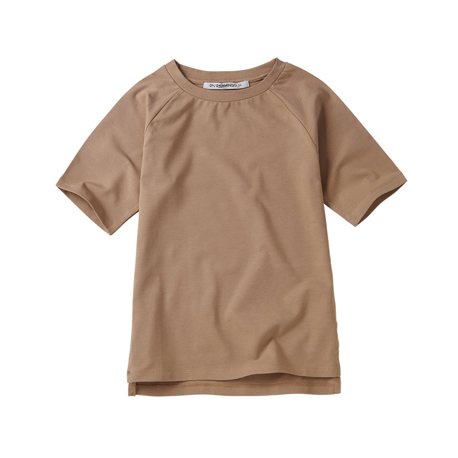 Basics T-shirts Ginger